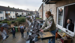 Low-cost bird feeding tactic divides communities as winter feeders attract flocks and spark ecological concerns