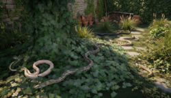Experts reveal the garden plant you should never grow because it strongly attracts snakes and can turn your yard into a summer habitat for them