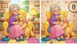 8-Second Challenge: Spot 3 Differences in the Grandma and Dog Image Before Time Runs Out